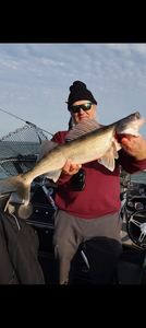Lake Erie Walleye: Angler's Paradise
